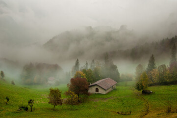 Fototapeta na wymiar Farmhouse with Pasture Foggy Autumn