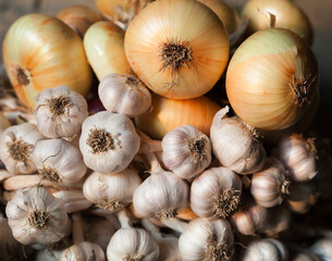 Garlic and onion. Rich harvest.