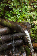 Mountain brook. Wooden log well.