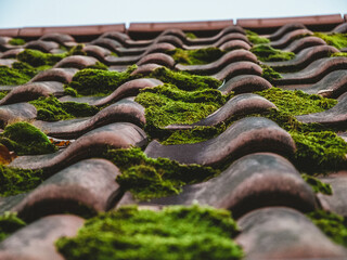 roof tiles