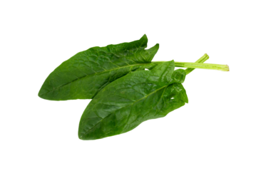 Spinach leaf isolated on white background. Fresh green spinach Top view. Flat lay. BIO salad.