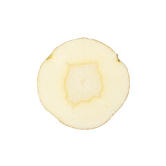Close-up view of a fresh parsnip isolated on white background. BIO vegetables.
