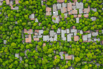 aerial view building and garden