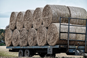 Bales of Hay on Trailer