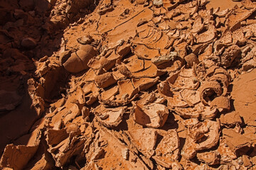 Dried mud in Dryfork Slot Canyon, Escalante, Utah 2154