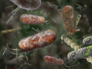 3D Medical Bacteria Illustration Variety