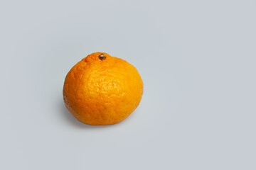 orange on a white background