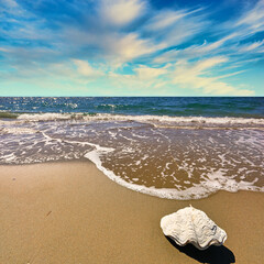 Sandy beach with pearl shell under blue sky