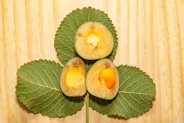 Ripe pequi fruit (Caryocar besiliense) in selective focus along with the leaves of the species itself