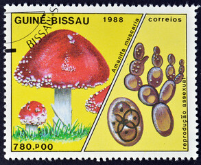 Cancelled postage stamp printed by Guinea Bissau, that shows Amanita muscaria, the fly agaric or...
