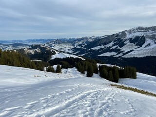 Fototapeta na wymiar Wonderful winter hiking trails and traces in fresh alpine snow on the slopes of the Alpstein mountain range, Urnäsch (Urnaesch or Urnasch) - Canton of Appenzell Innerrhoden, Switzerland (Schweiz)