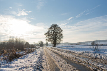 Beautiful winter countryside road, field road covered with snow, countryside after snowfall, sunny winter morning