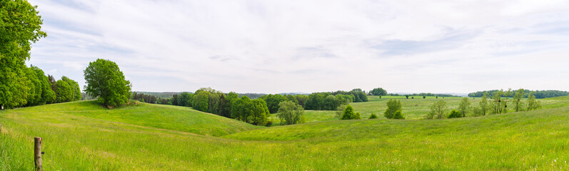 Fototapeta na wymiar panorama landscape with green grass, trees and blue sky in spring summer