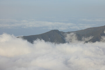 Mountain trail with fog in dead trees on the ascent to Ruivo peak in Madeira island, Portugal in April 2022.