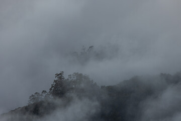 Mountain trail with fog in dead trees on the ascent to Ruivo peak in Madeira island, Portugal in April 2022.