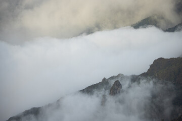 Fototapeta na wymiar Epic misty vibes in the mountains of Madeira at a viewpoint called Bica da Cana.