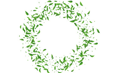 Forest Greens Wind Vector White Background