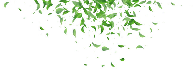 Grassy Foliage Flying Vector Panoramic White