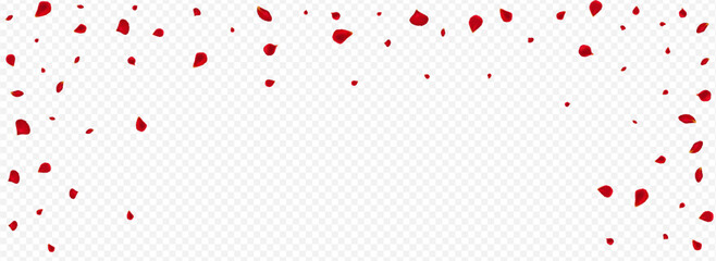 Red Cherry Tender Vector Panoramic Transparent