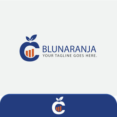 Financial logo, finance logo template with AI and EPS files