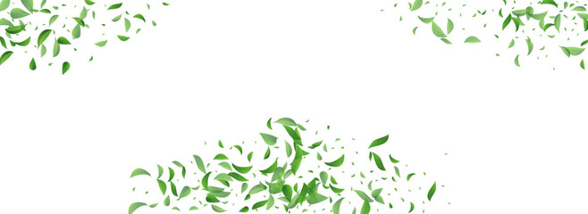 Grassy Greens Transparent Vector Panoramic White