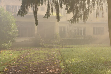 Obraz premium A foggy path leading to an abandoned building