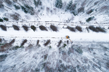 An aerial of a yellow guillotine cutting down energy wood and low-value hardwood next to a small...