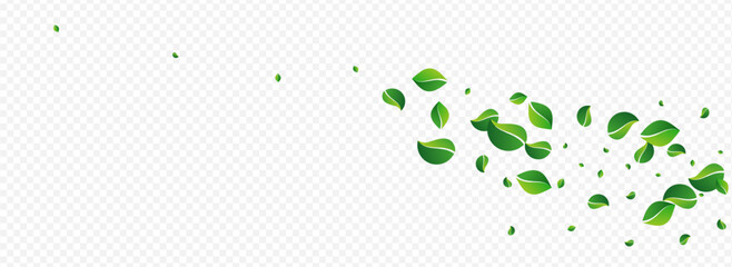 Lime Leaves Forest Vector Panoramic Transparent