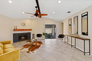 living room with cow skin rug