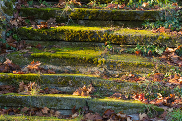 Old Stairs Covered by Moss are Being Caressed by the Winter Sun