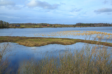 Fototapeta na wymiar Grass in flooded wetland on Öland