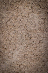 Desert floor