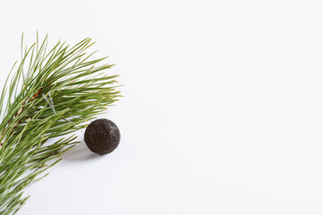 Spruce branch with Christmas tree toy ball. Winter holidays