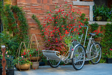 Fototapeta na wymiar Vintage tricycle with a basket full of red rose flowers next to an old building in a tropical garden, Vietnam, closeup