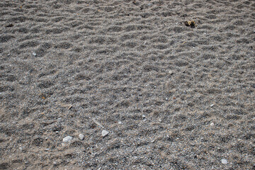 Sandstones on the beach