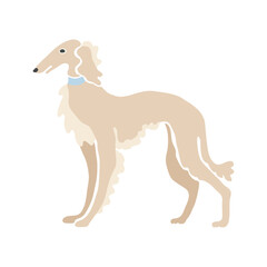 Borzoi - vector illustration isolated on white.