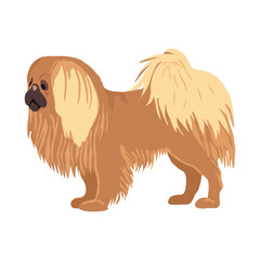 Pekingese dog - vector illustration isolated on white.