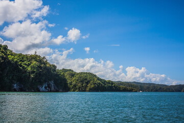 Obraz premium Rocky beach that juts into the sea and is overgrown with green shrubs. Overgrown coastline with rocks in the tropics. Blue ocean. Dominican Republic