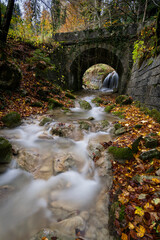 Fototapeta na wymiar Rivière en automne dans le Jura Suisse avec ces cascades en filé statique