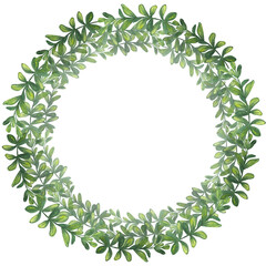 Doodle green foliage round frame. Hand-drawn watercolor illustration isolated on white background. For greetings, wallpapers, Wedding Invitation