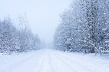 A snowy road leading through a wintry woodland on a cold day in rural Estonia, Northern Europe