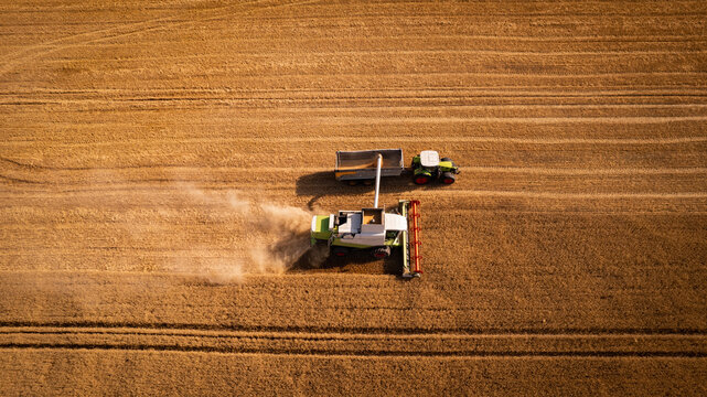 kombajn koszący zborze na polu z drona
