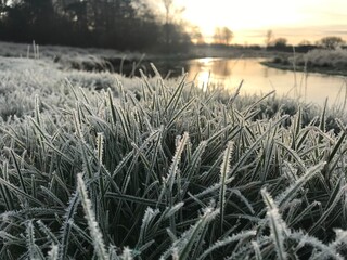 Frozen grass and a beautiful background with river