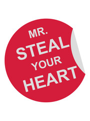 mr steal your heart 