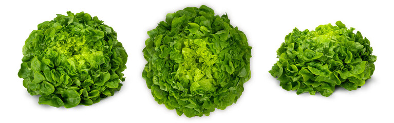 Juicy leaves of lettuce isolated on white background.