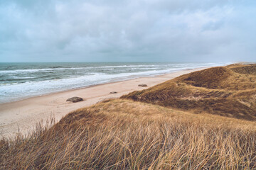 Cloudy winter day at danish coast. High quality photo