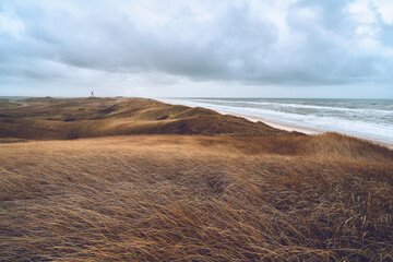 Endless Dune Landscape in western Denmark. High quality photo - obrazy, fototapety, plakaty