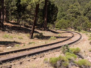 Railroad tracks through the pine forest in Arizona, USA.