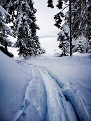 verschneite Winterlandschaft mit Spuren von Skitourengehern