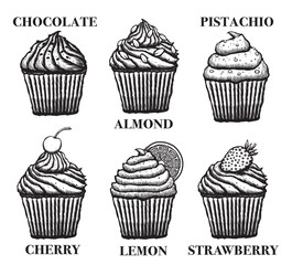 Vector illustration set of a cupcakes